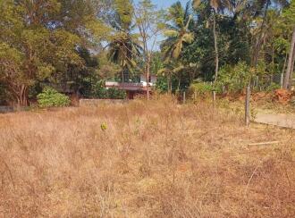 Residential Land for Sale in Palakkad, Palakkad, Mankurussi, Colony road Opp Sarada Auditorium, Mankurussi, Palakkad
