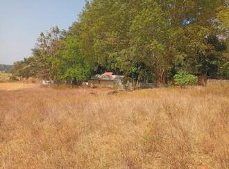 Residential Land for Sale in Palakkad, Palakkad, Mankurussi, Colony road Opp Sarada Auditorium, Mankurussi, Palakkad
