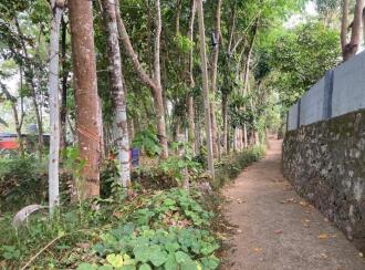 Residential Land for Sale in Kottayam, Manarcad, Manarcad