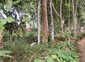Residential Land for Sale in Kottayam, Manarcad, Manarcad