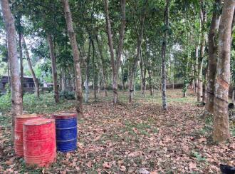 Residential Land for Sale in Kottayam, Manarcad, Manarcad