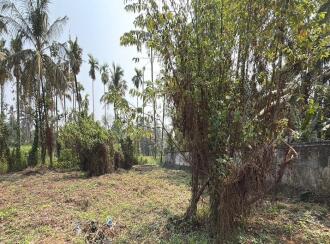 വാസയോഗ്യമായ ഭൂമി വില്പനയ്ക്ക് Thrissur, Irinjalakuda, Irinjalakuda, TR Krishnan road