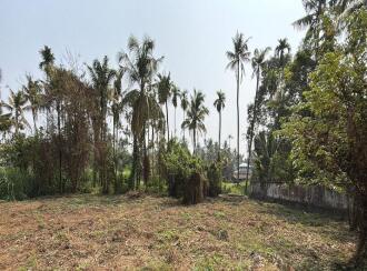 വാസയോഗ്യമായ ഭൂമി വില്പനയ്ക്ക് Thrissur, Irinjalakuda, Irinjalakuda, TR Krishnan road