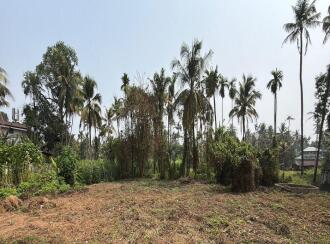 വാസയോഗ്യമായ ഭൂമി വില്പനയ്ക്ക് Thrissur, Irinjalakuda, Irinjalakuda, TR Krishnan road