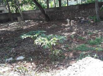 Residential Land for Sale in Trivandrum, Thiruvananthapuram, Ptp nagar, Anand lane