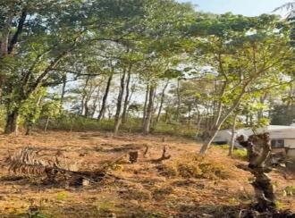 Residential Land for Sale in Kollam, Kollam, Kollam town, near by chowallor kollam st.george vhss chowallor