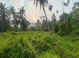 Residential Land, Ernakulam