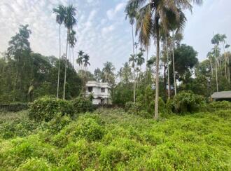 Residential Land for Sale in Ernakulam, Palluruthy, Palluruthy, Cheriya Pallanthuruth, located 1.7 km north of North Paravur town,