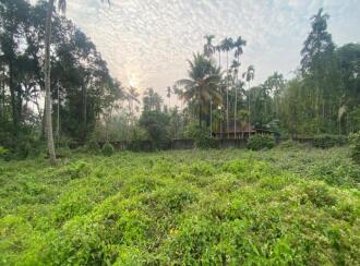 Residential Land for Sale in Ernakulam, Palluruthy, Palluruthy, Cheriya Pallanthuruth, located 1.7 km north of North Paravur town,