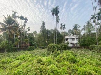 Residential Land for Sale in Ernakulam, Palluruthy, Palluruthy, Cheriya Pallanthuruth, located 1.7 km north of North Paravur town,