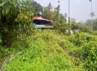 Residential Land for Sale in Ernakulam, Palluruthy, Palluruthy, Cheriya Pallanthuruth, located 1.7 km north of North Paravur town,