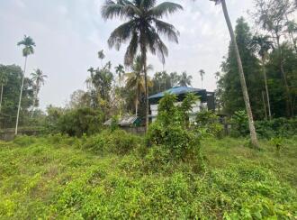 Residential Land for Sale in Ernakulam, Palluruthy, Palluruthy, Cheriya Pallanthuruth, located 1.7 km north of North Paravur town,