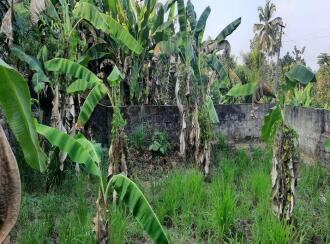 Residential Land for SaleErnakulam, Puthencruz, Puthencruz