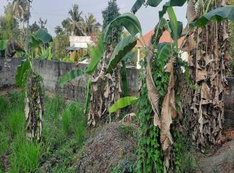 Residential Land for Sale in Ernakulam, Puthencruz, Puthencruz, Dawn International School, Peechingachira