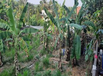 Residential Land for Sale in Ernakulam, Puthencruz, Puthencruz, Dawn International School, Peechingachira