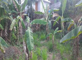 Residential Land for Sale in Ernakulam, Puthencruz, Puthencruz, Dawn International School, Peechingachira