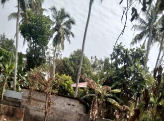 Residential Land for Sale in Trivandrum, Thiruvananthapuram, Pongumoodu