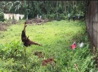 Residential Land for Sale in Kottayam, Changanassery, Vakathanam, Thottakkadu,