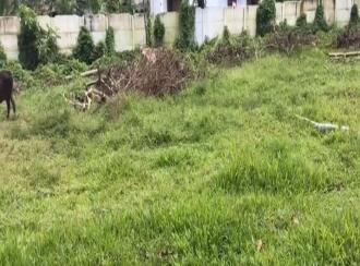 Residential Land for Sale in Kottayam, Changanassery, Vakathanam, Thottakkadu,
