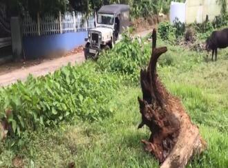 Residential Land for Sale in Kottayam, Changanassery, Vakathanam, Thottakkadu,