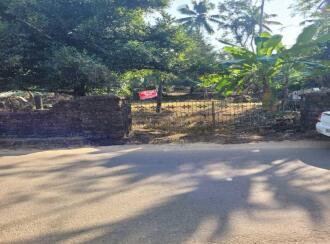 Residential Land for Sale in Ernakulam, Muvattupuzha, Kizhakkekara