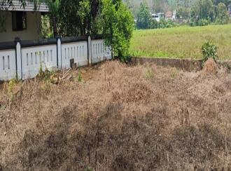 Residential Land for Sale in Ernakulam, Muvattupuzha, Muvattupuzha town, Anicadu chira