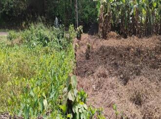 Residential Land for Sale in Ernakulam, Muvattupuzha, Muvattupuzha town, Anicadu chira