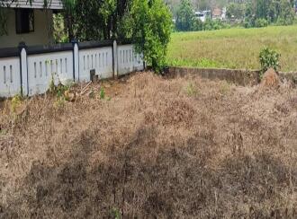 Residential Land for Sale in Ernakulam, Muvattupuzha, Muvattupuzha town, Anicadu chira