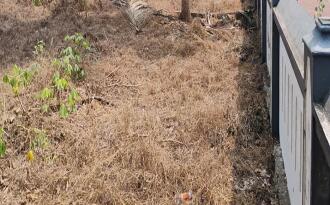 Residential Land for Sale in Ernakulam, Muvattupuzha, Muvattupuzha town, Anicadu chira