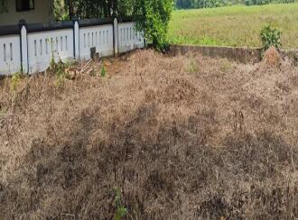 Residential Land for Sale in Ernakulam, Muvattupuzha, Muvattupuzha town, Anicadu chira