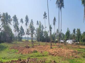 Residential Land for Sale in Kottayam, Ettumanoor, Neendoor, LIC JUNCTION