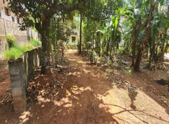 Residential Land for Sale in Kottayam, Kottayam town, Pannimattom, Near Food Corporation of India
