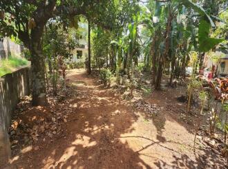 Residential Land for Sale in Kottayam, Kottayam town, Pannimattom, Near Food Corporation of India