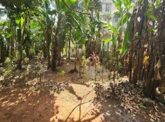 Residential Land for Sale in Kottayam, Kottayam town, Pannimattom, Near Food Corporation of India