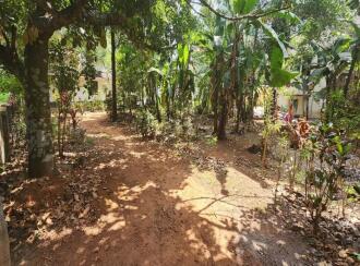 Residential Land for Sale in Kottayam, Kottayam town, Pannimattom, Near Food Corporation of India
