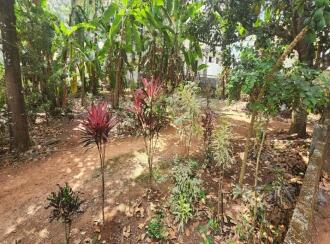 Residential Land for Sale in Kottayam, Kottayam town, Pannimattom, Near Food Corporation of India