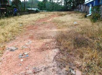 Commercial Land for Sale in Kollam, Ayoor, Ayoor, Near SBI Bank opposite