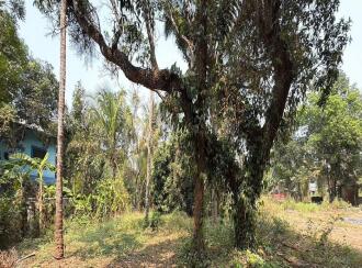 Residential Land for Sale in Thrissur, Irinjalakuda, Irinjalakuda, Kandeswaram Road