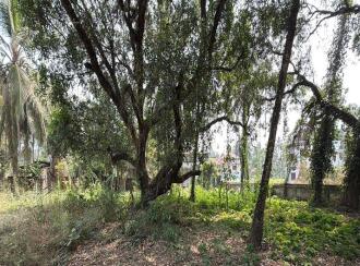 Residential Land for Sale in Thrissur, Irinjalakuda, Irinjalakuda, Kandeswaram Road
