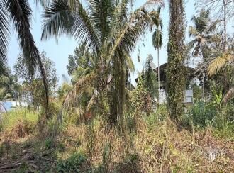 Residential Land for Sale in Thrissur, Irinjalakuda, Irinjalakuda, Kandeswaram Road