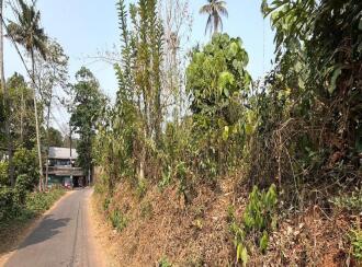 Residential Land for Sale in Thrissur, Irinjalakuda, Irinjalakuda, TR Krishnan road Irinjalakuda