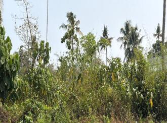 Residential Land for Sale in Thrissur, Irinjalakuda, Irinjalakuda, TR Krishnan road Irinjalakuda