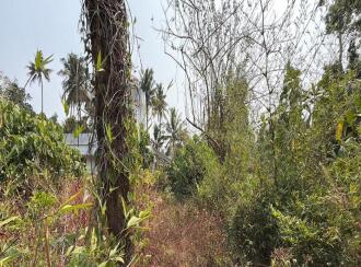 Residential Land for Sale in Thrissur, Irinjalakuda, Irinjalakuda, TR Krishnan road Irinjalakuda