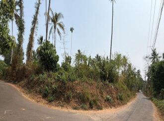 Residential Land for Sale in Thrissur, Irinjalakuda, Irinjalakuda, TR Krishnan road Irinjalakuda