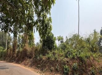 Residential Land for Sale in Thrissur, Irinjalakuda, Irinjalakuda, TR Krishnan road Irinjalakuda