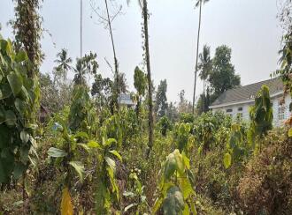 Residential Land for Sale in Thrissur, Irinjalakuda, Irinjalakuda, TR Krishnan road Irinjalakuda