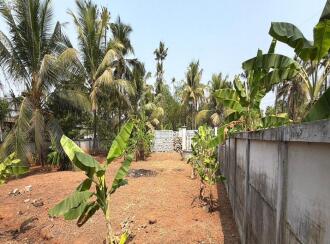 Residential Land for Sale in Thrissur, Irinjalakuda, Irinjalakuda, Mariyaman Kovil near
