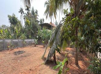 Residential Land for Sale in Thrissur, Irinjalakuda, Irinjalakuda, Mariyaman Kovil near
