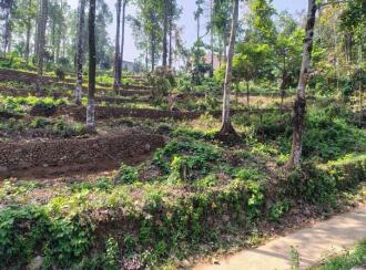 Residential Land for Sale in Pathanamthitta, Ranni, Vechoochira, St Bernabas Csi Church in Kunnam Vechoochira