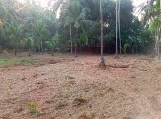 Residential Land for Sale in Thrissur, Chavakkad, Perakom